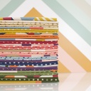 American Bold by Frank Lloyd Wright Collection FQ Bundle