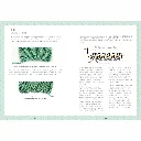 6.webp
