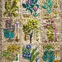 Texture.webp