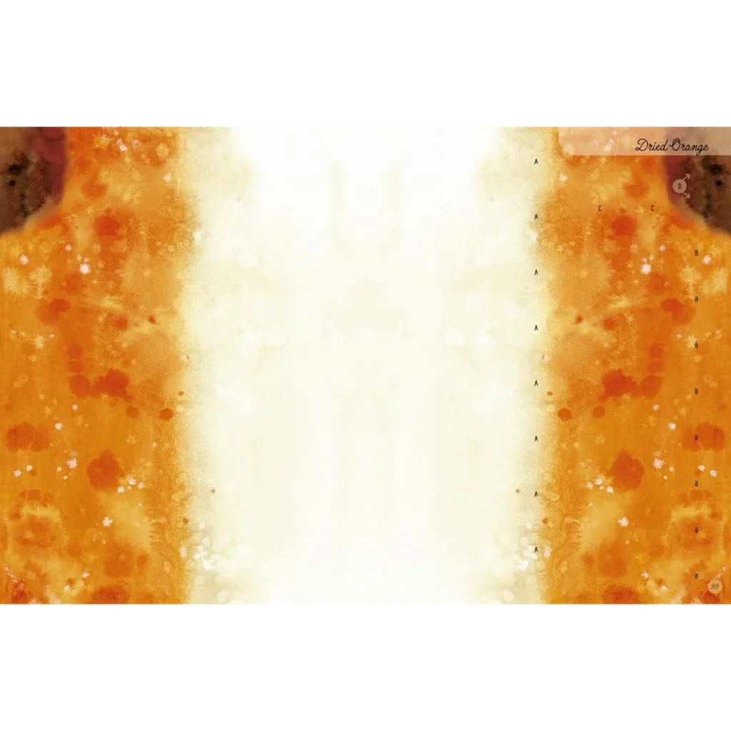 51lQ8BzFgfL._SL1020_.webp