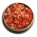 SEQUIN TIN