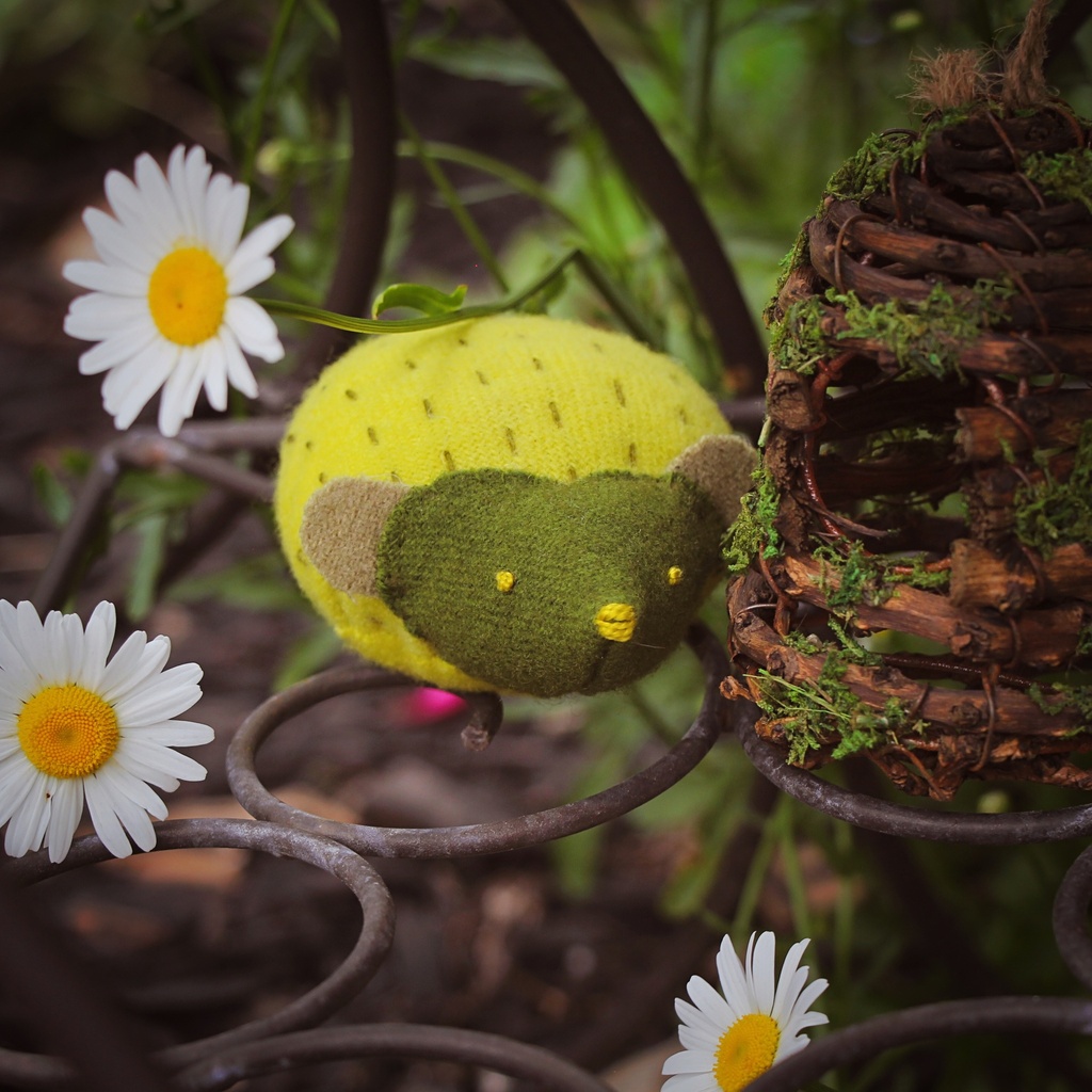 Little Hedgehog Pincushion Pattern