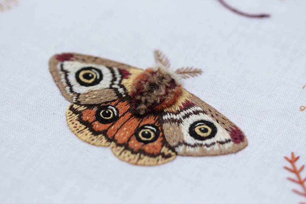 Moth Stitch Sampler