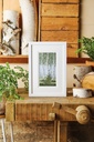 WHERE MEADOWS & GARDENS GROW BOOK