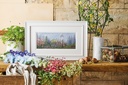 WHERE MEADOWS & GARDENS GROW BOOK