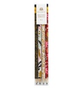 Modernist Assorted Writing Pencils