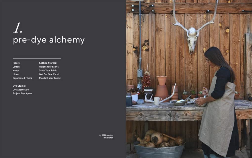 Quilt Alchemy Book, Sara Larson Buscaglia