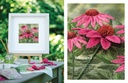 Inspirations Magazine, Issue #120