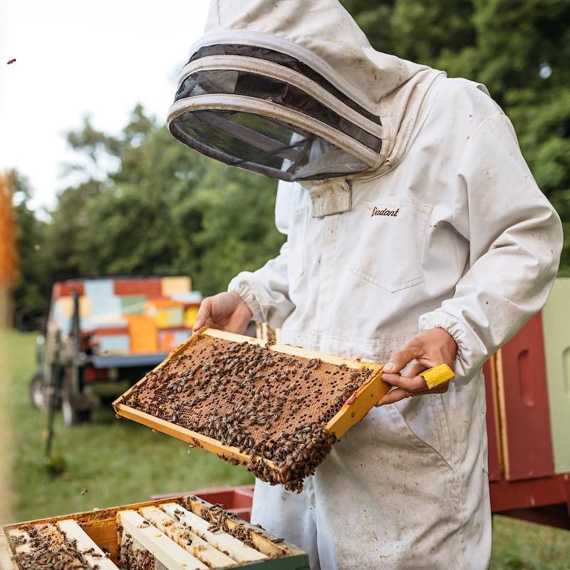 Vermont Raw Honey