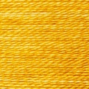 Am I Bright? - Acorn Cache
