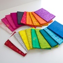 Soliloquy by Alison Glass FQ Bundle