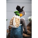 Mouche & Friends Book