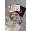 Embroidery on Knits Book