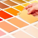 Palette Scout