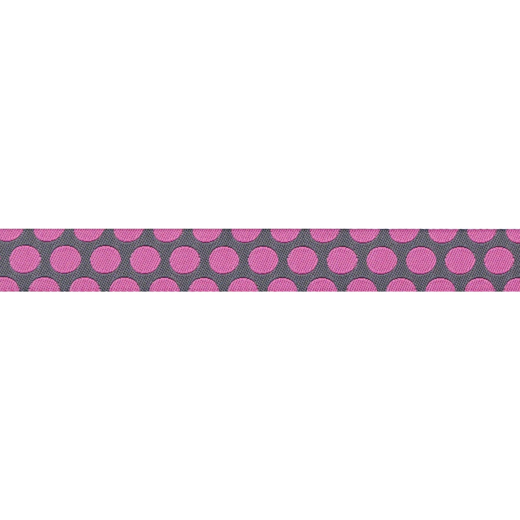 Ribbon Yardage - Dinosaur Eggs in Mist