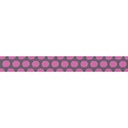 Ribbon Yardage - Dinosaur Eggs in Mist