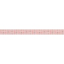 Ribbon Yardage - Dinosaur Eggs in Mist
