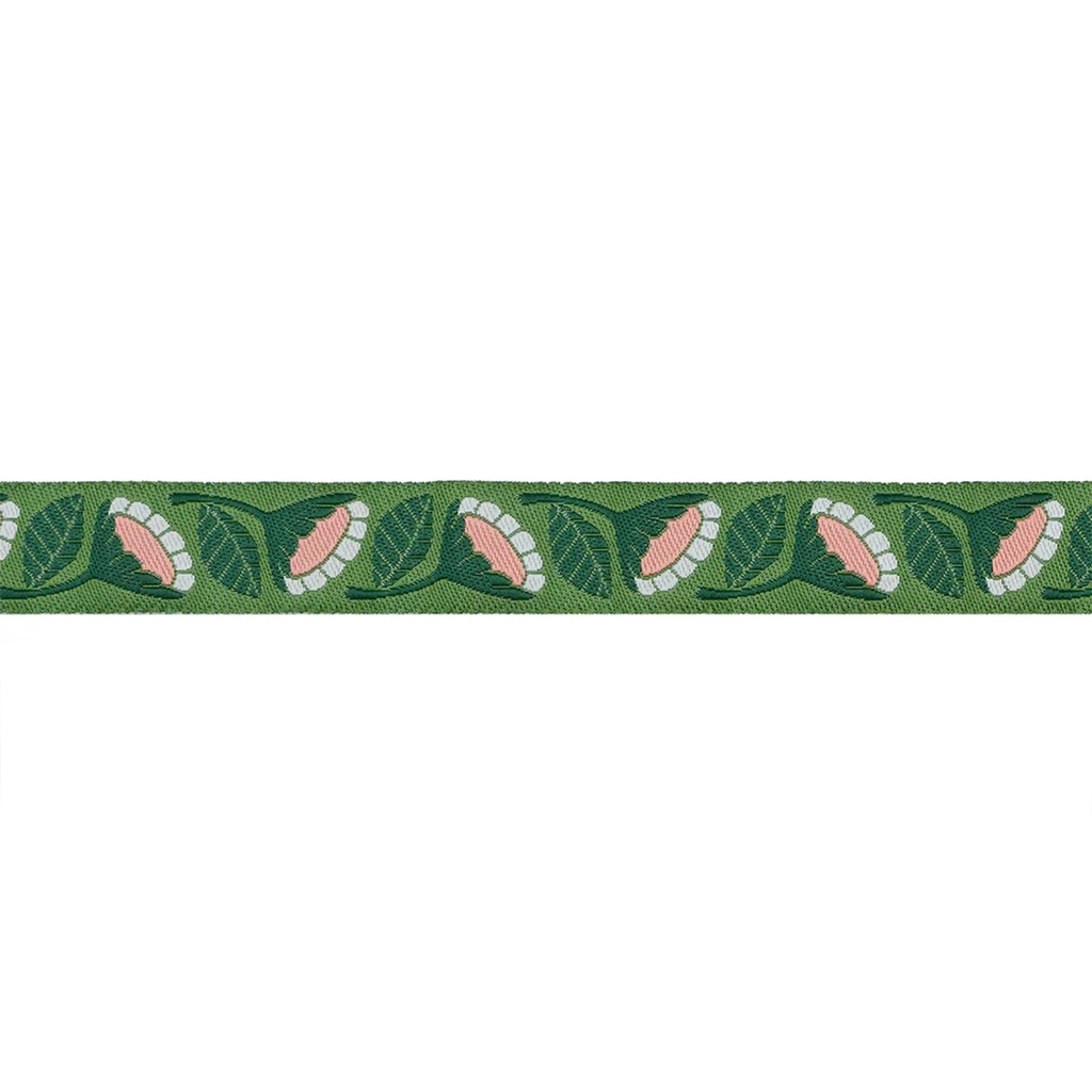 Ribbon Yardage - Dinosaur Eggs in Mist
