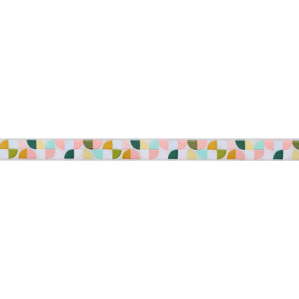 Ribbon Yardage - Dinosaur Eggs in Mist