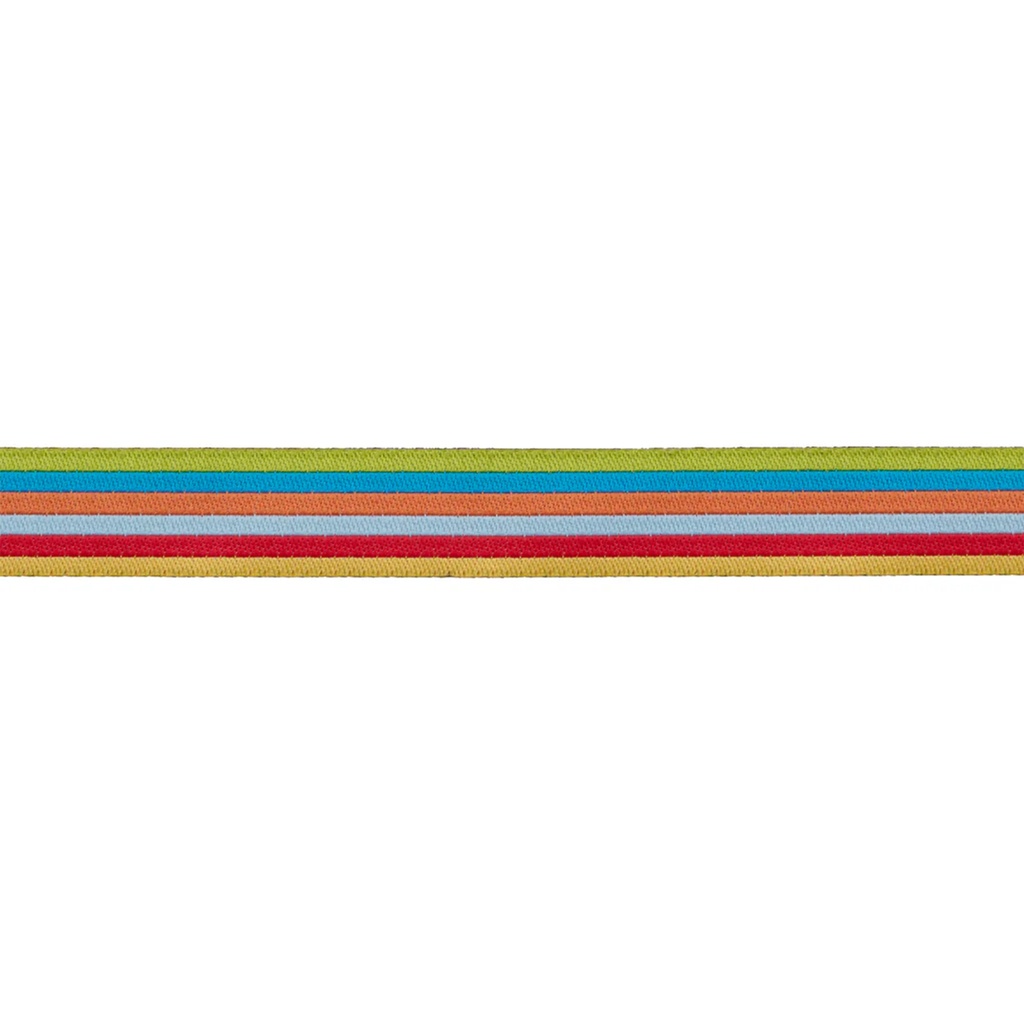 Ribbon Yardage - Dinosaur Eggs in Mist