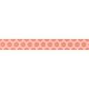 Ribbon Yardage - Dinosaur Eggs in Mist