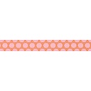 Ribbon Yardage - Dinosaur Eggs in Blush