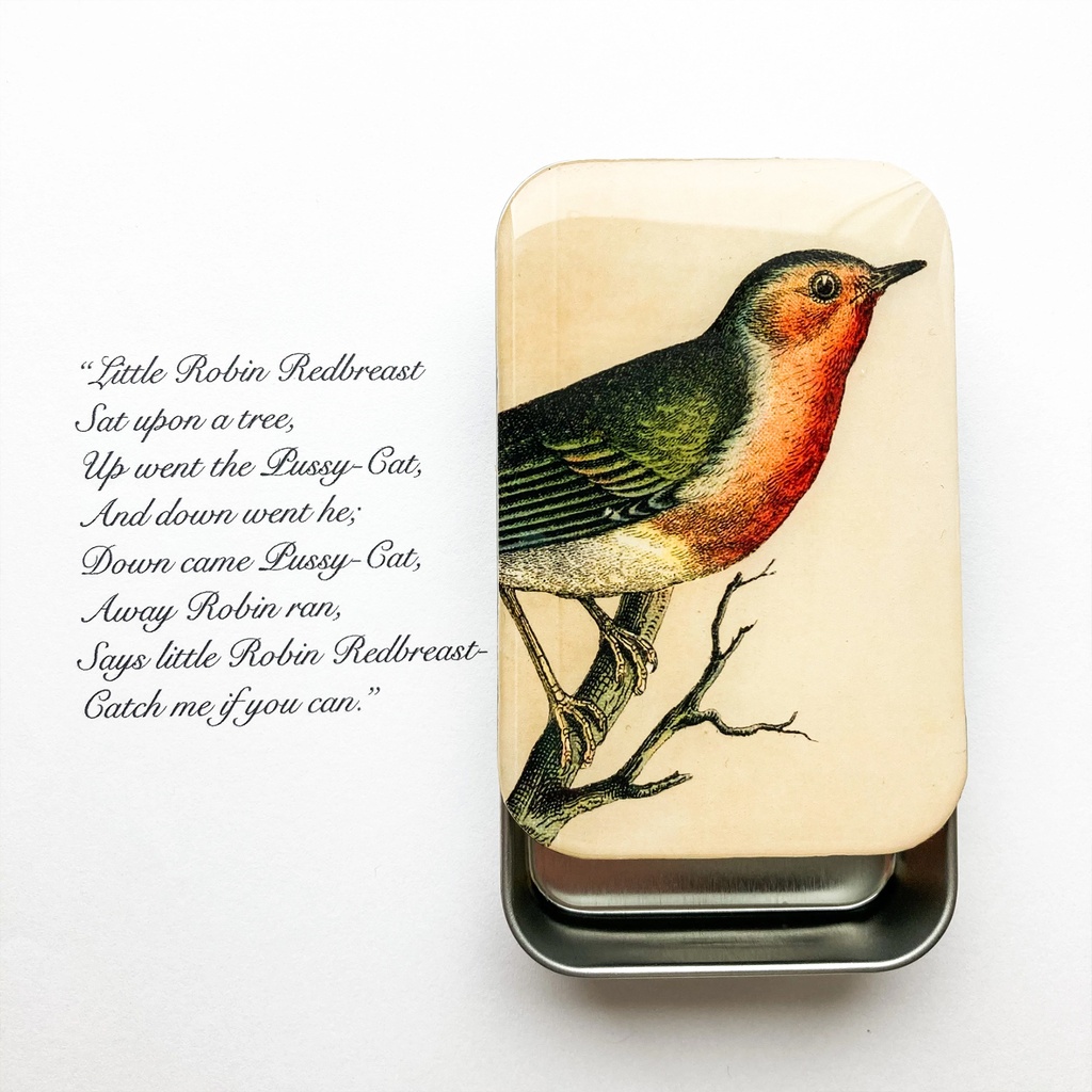 Robin Magnetic Notions Tin