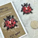 Ladybug Needle Minder