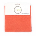 5" x 5" Solid Paint Chips - Orange