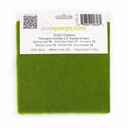 5" x 5" Solid Paint Chips - Green
