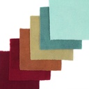 5" x 5" Solid Paint Chips - Nature