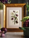 Inspirations Magazine, Issue #126