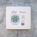 HOB Green Mandala Embroidery Kit