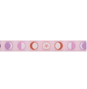 Ribbon Yardage - Phases in Honey