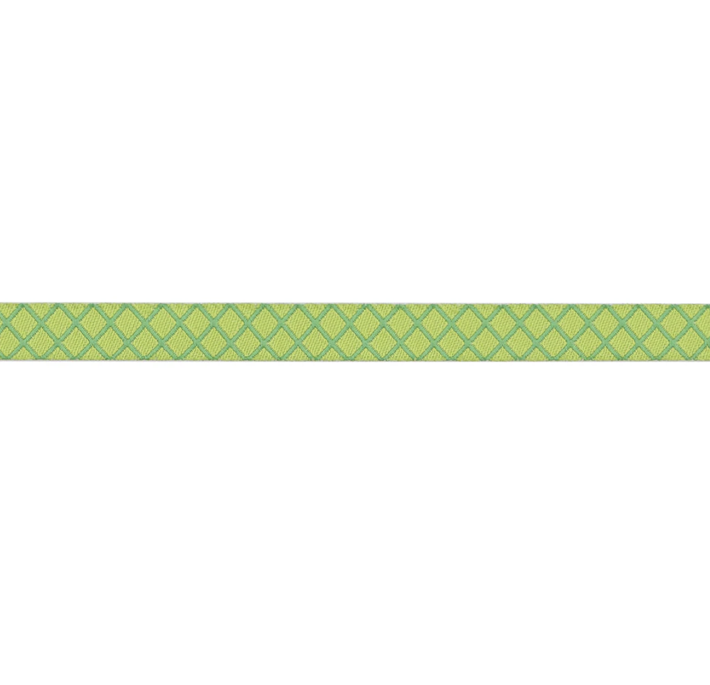 Ribbon Yardage - On the Grid, Apple