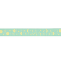 Ribbon Yardage - Space Sprinkles, Sea Glass