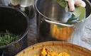 The Natural Dye Handbook