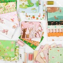 Studio Edit by Heather Ross FQ Bundle