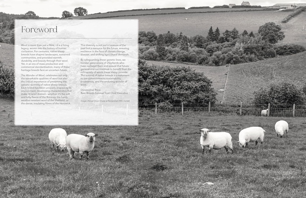 The Wonder of Wool Book