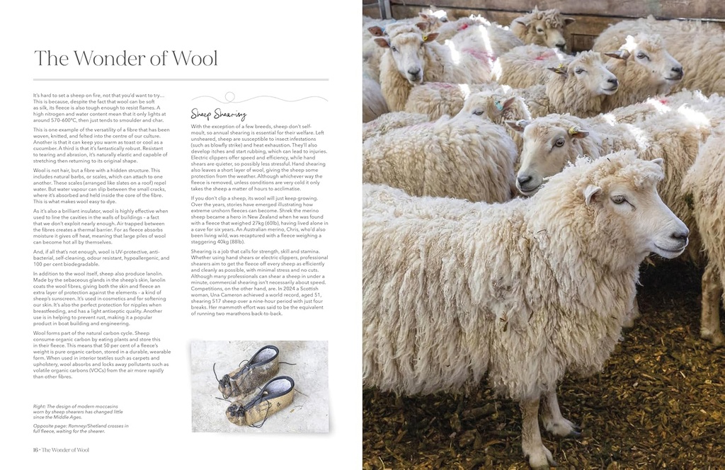 The Wonder of Wool Book
