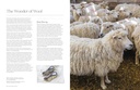 The Wonder of Wool Book