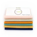 5" x 5" Solid Paint Chips - Dawn