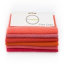 5" x 5" Sparkle Paint Chips - Orange