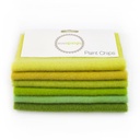 5" x 5" Sparkle Paint Chips - Green