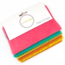 5" x 5" Mixed Paint Chips - Beach Ball Bash