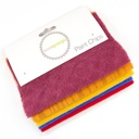 5" x 5" Mixed Paint Chips - Hummingbird Garden