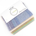 5" x 5" Mixed Paint Chips - The Derby