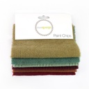 5" x 5" Textural Paint Chips - Nature