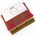 5" x 5" Textural Paint Chips - Connecticut