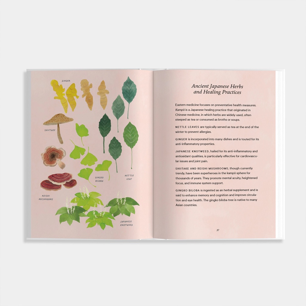 Shibui: Embracing the Beauty of Aging